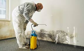 Professional Mold Remediation in Meadville, PA